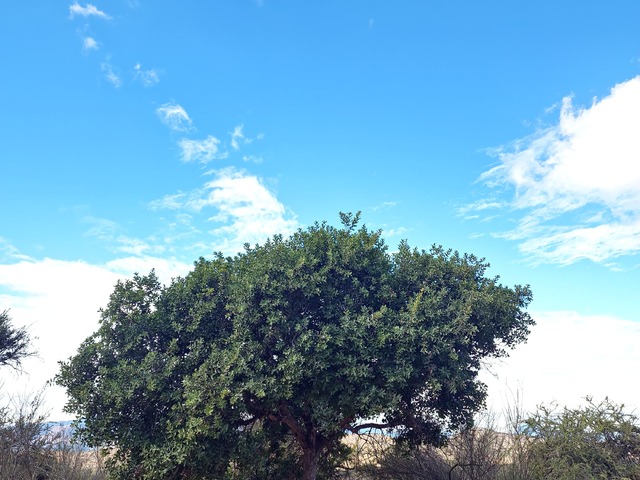 #6 - Área para Venta en Limache - V - 3
