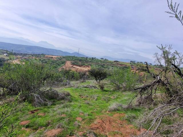 #12 - Área para Venta en Limache - V